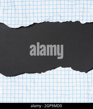 texture of crumpled white paper in a cage, blue lines, torn edges on a black background Stock Photo