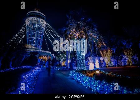 Lighthouse of the night view of Enoshima (sea candles). Shooting Location: Kamakura, Kanagawa Prefecture Stock Photo