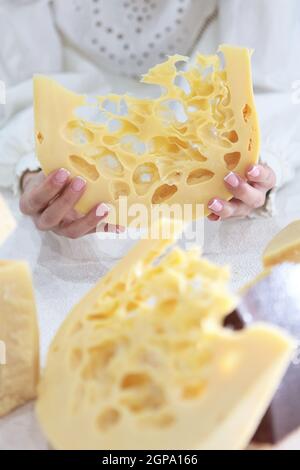 The girl holds large chunks of hard maasdam cheese. Cheese with lots of holes. Dutch Maasdamer cheese. An unrecognizable person. Just my hands. Chunks Stock Photo