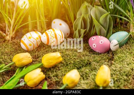 Still life Easter background. Colorful Easter eggs with tulips. Easter greeting card composition Stock Photo