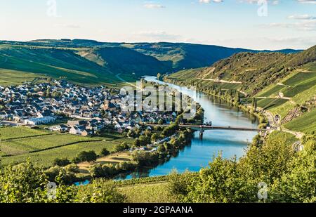 Beautiful moselle valley with view to Trittenheim in Germany Stock Photo