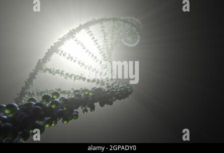 3d Illustration of DNA molecule. The helical molecule of a nucleotide ...