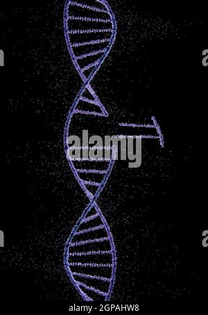 Helical DNA code with grouped spheres forming genetic molecules. Stock Photo