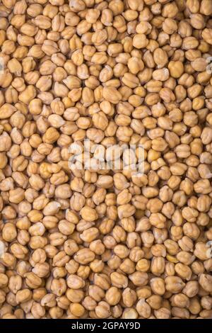 dried chickpeas or grams soaked in water, also known as garbanzo beans or egyptian pea, long soaking beans overnight before cooking, closeup Stock Photo