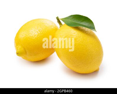 Two lemons placed on a white background Stock Photo