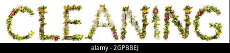 Flower, Branches And Blossom Letter Building English Word Cleaning. White Isolated Background Stock Photo