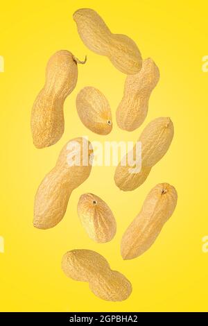 Isolated nuts. Nine mix peanuts with and witout shell in the air isolate on illuminating colour with clipping path as package design element. Full dep Stock Photo