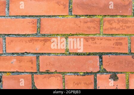 Orange brick wall close-up. Can be used as background Stock Photo