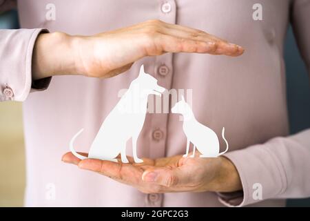 Dog And Cat Pet Liability And Health Care Coverage Stock Photo