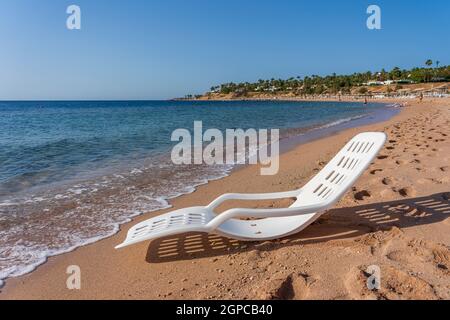 White plastic sun lounger near sea water on a tropical beach in Sharm El Sheikh, Egypt. Travel and nature concept Stock Photo