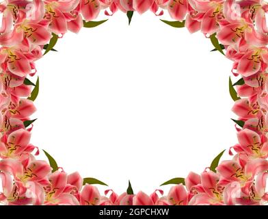 Floral frame of lily flower over white Stock Photo