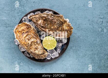 Oysters plate with lemon and ice. Served fresh and close. Healthy seafood Stock Photo