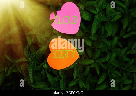 Handwriting text Cloud Security. Concept meaning protection of data stored online from theft and deletion Heart Shaped Paper On Top Of Outdoor Nature Stock Photo