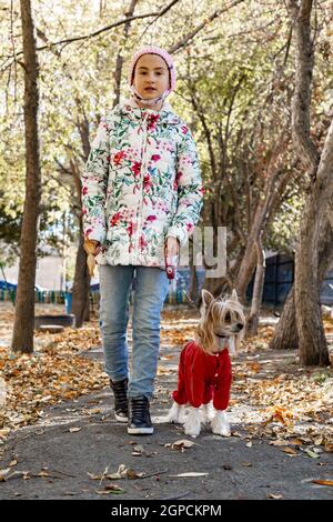 Attractive caucasian teenage girl walks with a dog along an autumn alley on a sunny day. Pet care concept. Vertical shot. Copy space. Life style Stock Photo