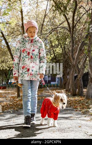 Attractive caucasian teenage girl walks with a dog along an autumn alley on a sunny day. Pet care concept. Vertical shot. Copy space. Life style Stock Photo