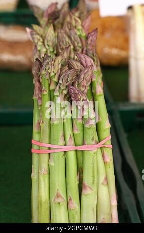 Bundle bunch of fresh green garden asparagus shoots close up, low angle view Stock Photo