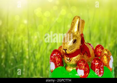 Easter card template. Close-up of a chocolate Easter bunny wrapped in gold paper and various chocolate eggs in a green plastic bowl over abstract blur Stock Photo
