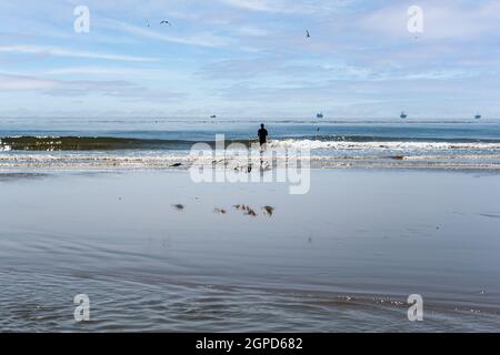 Fisherman fishing on beach with oil rig drilling platforms offshore in the ocean and reflection of seabirds on the water Stock Photo