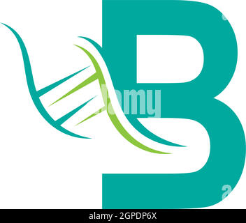 DNA icon logo with letter B template design Stock Vector