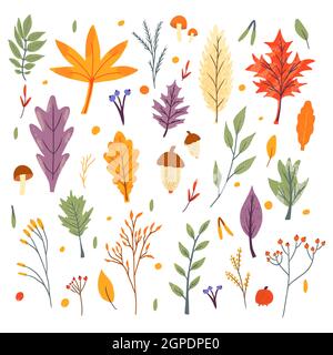 Bundle of autumn trendy icons. falling leaves of oak, maple, berry and mushroom. Scrapbook collection of fall season elements. Flat natural vector ill Stock Vector