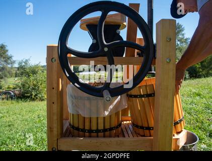 A man making apple cider with traditional fruit press with fly wheel Stock Photo