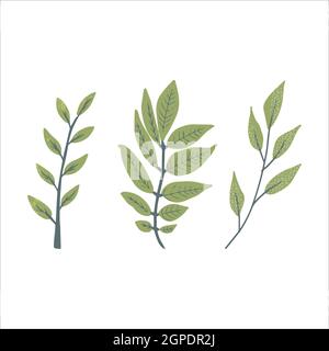 Modern autumn trendy icon of falling ash. Scrapbook collection of fall season elements. Flat natural vector illustration with floral for advertisement Stock Vector