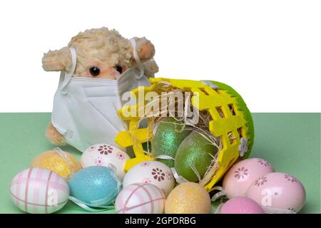 Happy Easter background. Closeup of colorful easter eggs, a basket and a lamb with mask on green table isolated on a white background. Religion and cu Stock Photo