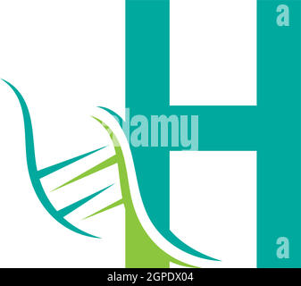 DNA icon logo with letter H template design Stock Vector