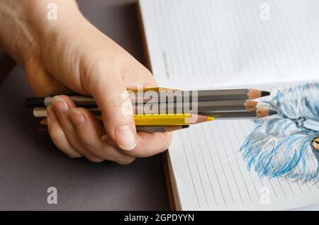 Adult Woman holding colored Pencils over an open diary. Blue pen Stock Photo