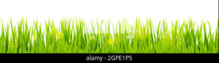 seamless floral grass panorama background Stock Vector