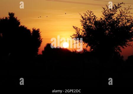 Morning sunrise view of birds flying in the colorful sky and the dazzling sun rising out from behind the silhouette mountains and wild silhouette tree Stock Photo