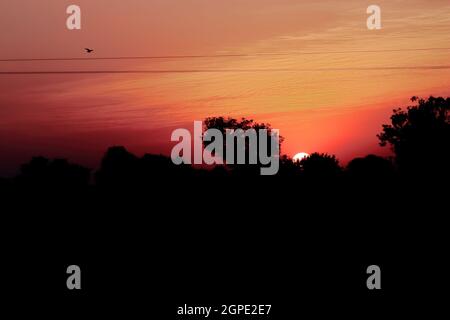 Morning sunrise view of birds flying in the colorful sky and the dazzling sun rising out from behind the silhouette mountains and silhouette trees Stock Photo