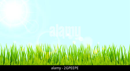floral grass and sunlight panorama background Stock Vector