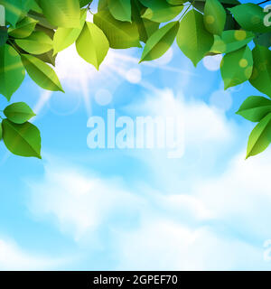 green leaves and sunbeams spring background Stock Vector