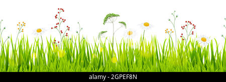 seamless floral grass panorama background Stock Vector