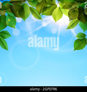 green leaves and sunbeams spring background Stock Vector