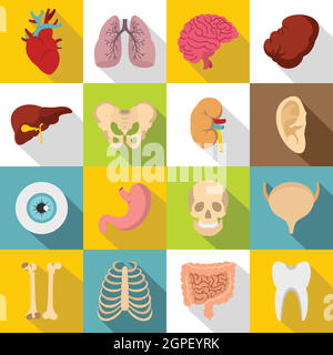 Human organs icons set, flat style Stock Vector