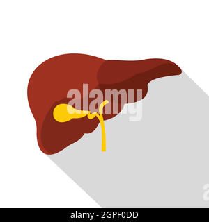 Liver icon, flat style Stock Vector