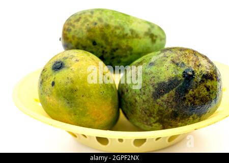 Three large ripe mangoes in a basket isolated on white background