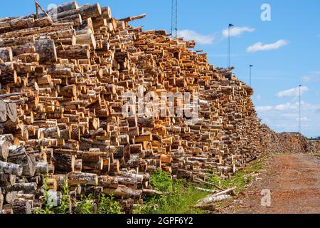 Timber in an industrial area Stock Photo