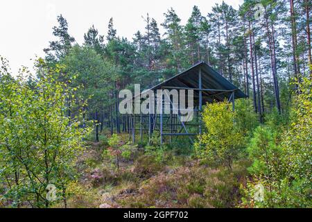 Old peat barn in a forest Stock Photo