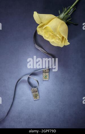 Friends forever jewellery on blue ribbon with yellow  rose Stock Photo