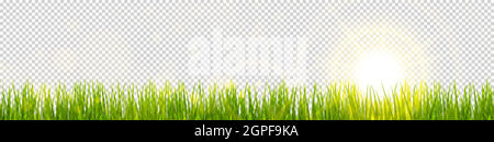spring grass and sunlight panorama background Stock Vector