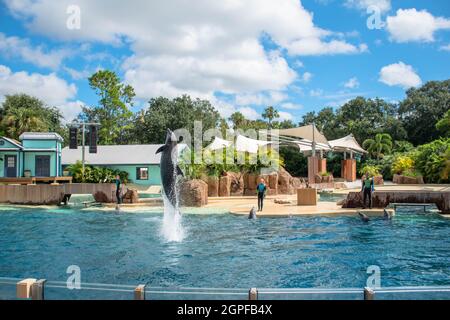 Orlando, Florida. September 28, 2021. Dolphin jumping at Seaworld (60) Stock Photo