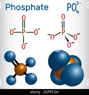 Phosphate anion molecule . Structural chemical formula and molecule model Stock Vector