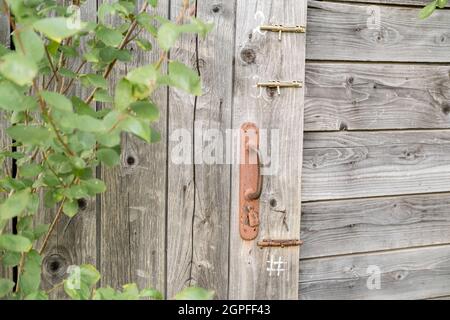 Door of an old wooden shed or toilet with a rusty doorknob and three latches, next to a tree, in a village. Stock Photo