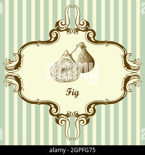 Icon Of Fig Fruit Stock Vector