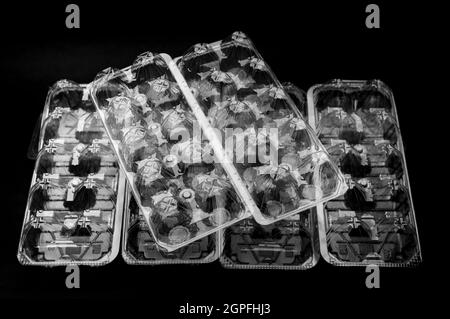 Six recyclable plastic packaging 10 eggs used in Japan. isolated on black background. Top view. Stock Photo