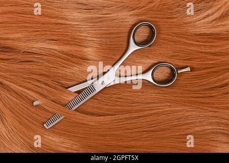 Hair cutting concept with shiny hair and thinning shears Stock Photo