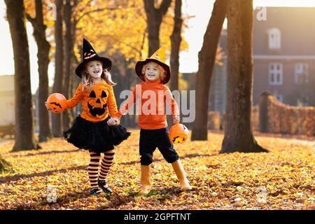 Kids trick or treat on Halloween. Children in black and orange witch costume and hat play with pumpkin and spider in autumn park. Dressed up Stock Photo